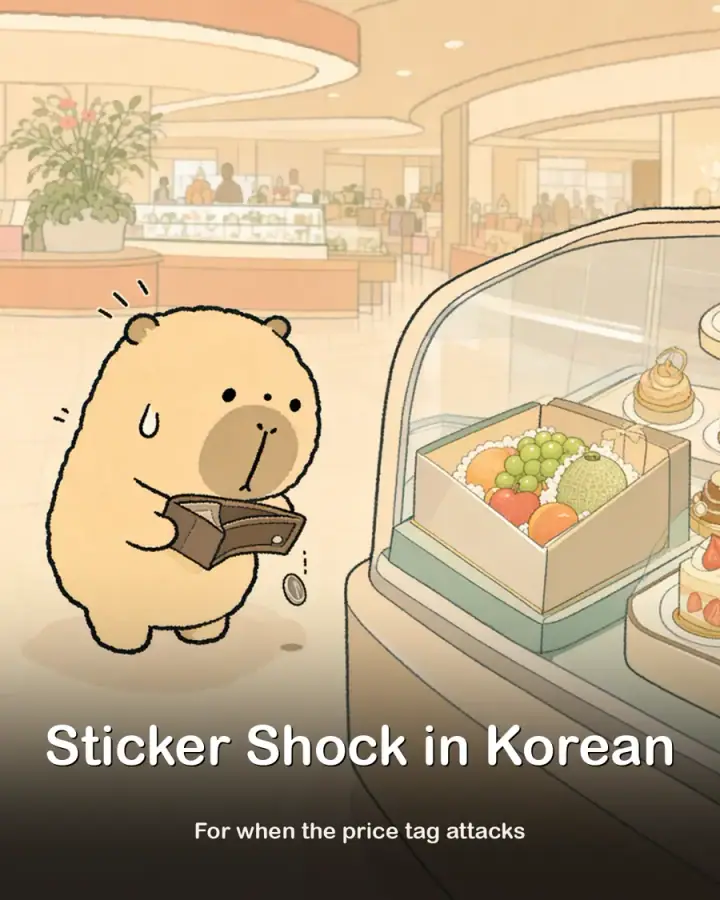 Sticker Shock in Korean Instagram phrase list cover