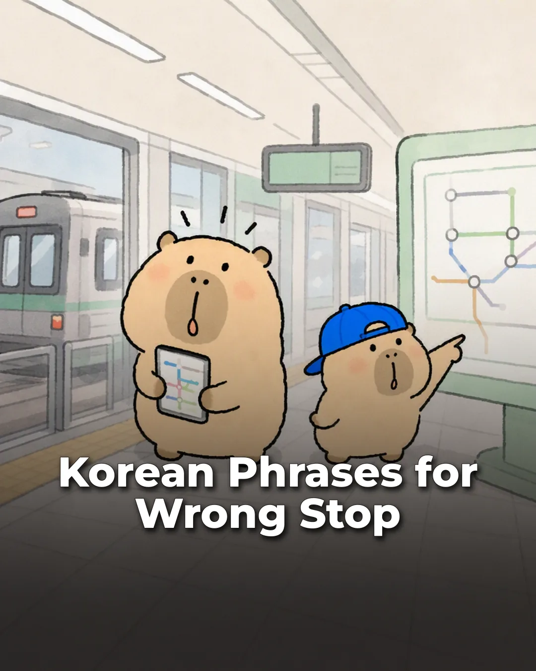 Korean Phrases for Wrong Stop Instagram phrase list cover
